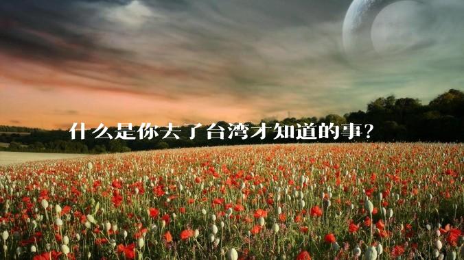什么是你去了台湾才知道的事？
