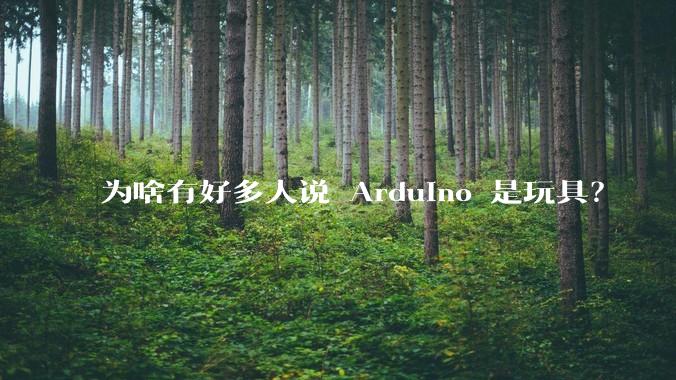 为啥有好多人说 Arduino 是玩具？