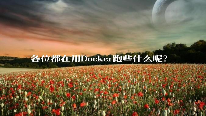 各位都在用Docker跑些什么呢？