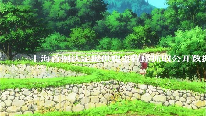 上海首例认定提供爬虫程序抓取公开数据构成提供侵入计算机信息系统程序罪案，该案件有哪些细节值得关注？