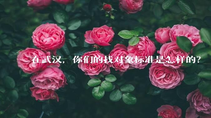 在武汉，你们的找对象标准是怎样的？
