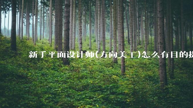 新手平面设计师(方向美工)怎么有目的提升设计能力？