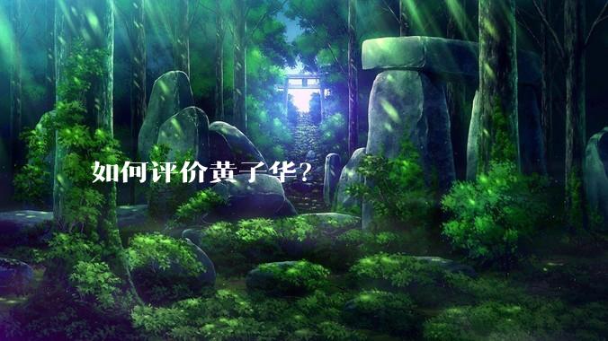 如何评价黄子华？