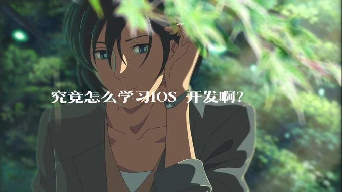 究竟怎么学习IOS 开发啊？