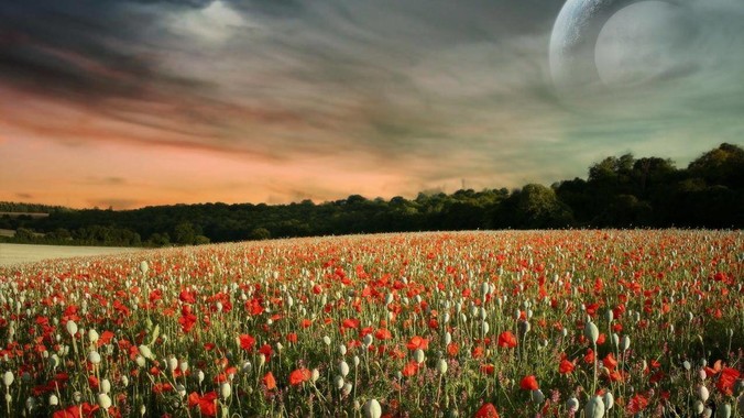 为什么程序员独爱用Mac进行编程？